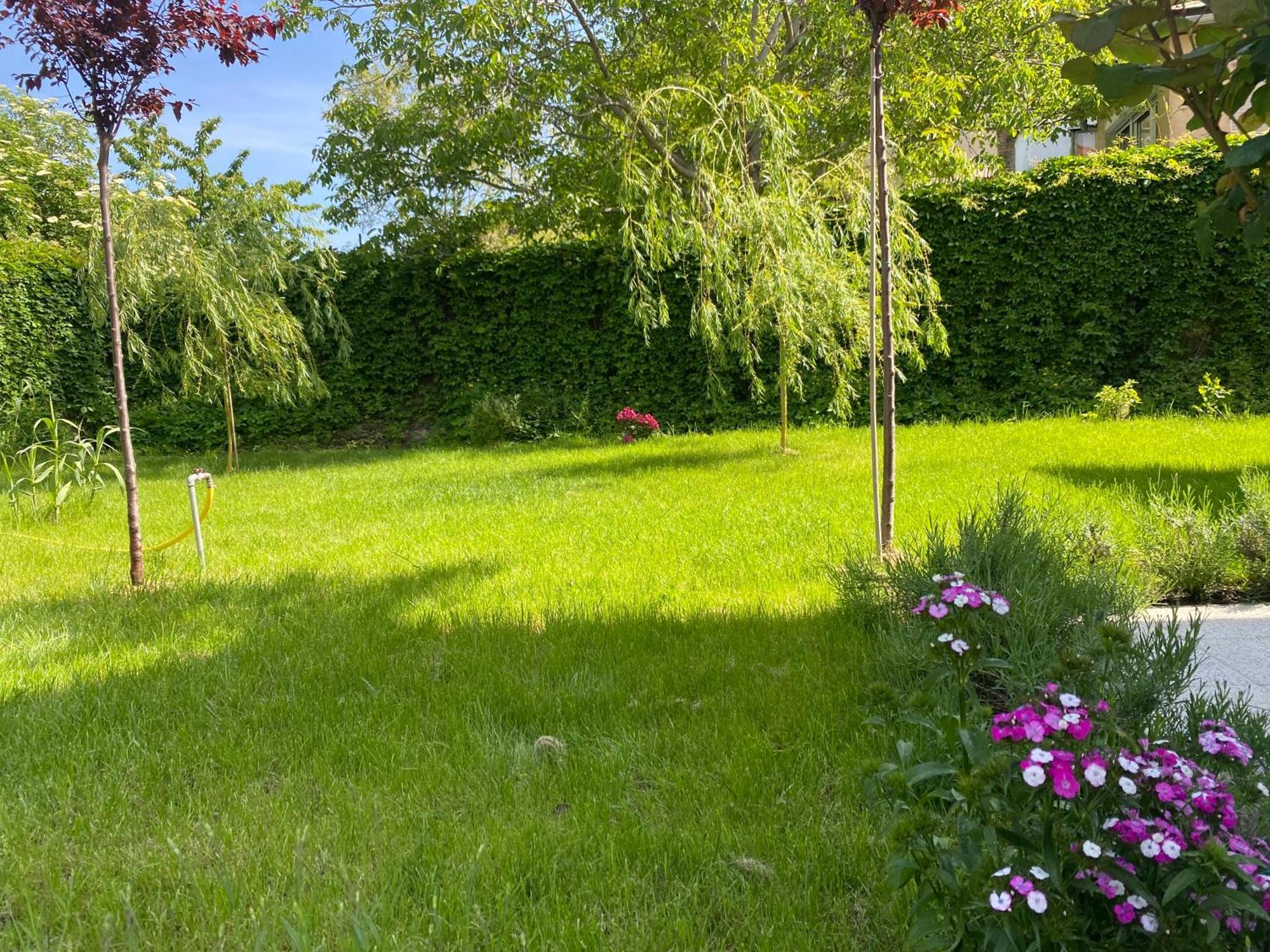 Villa Rosa Centre Balatonfured