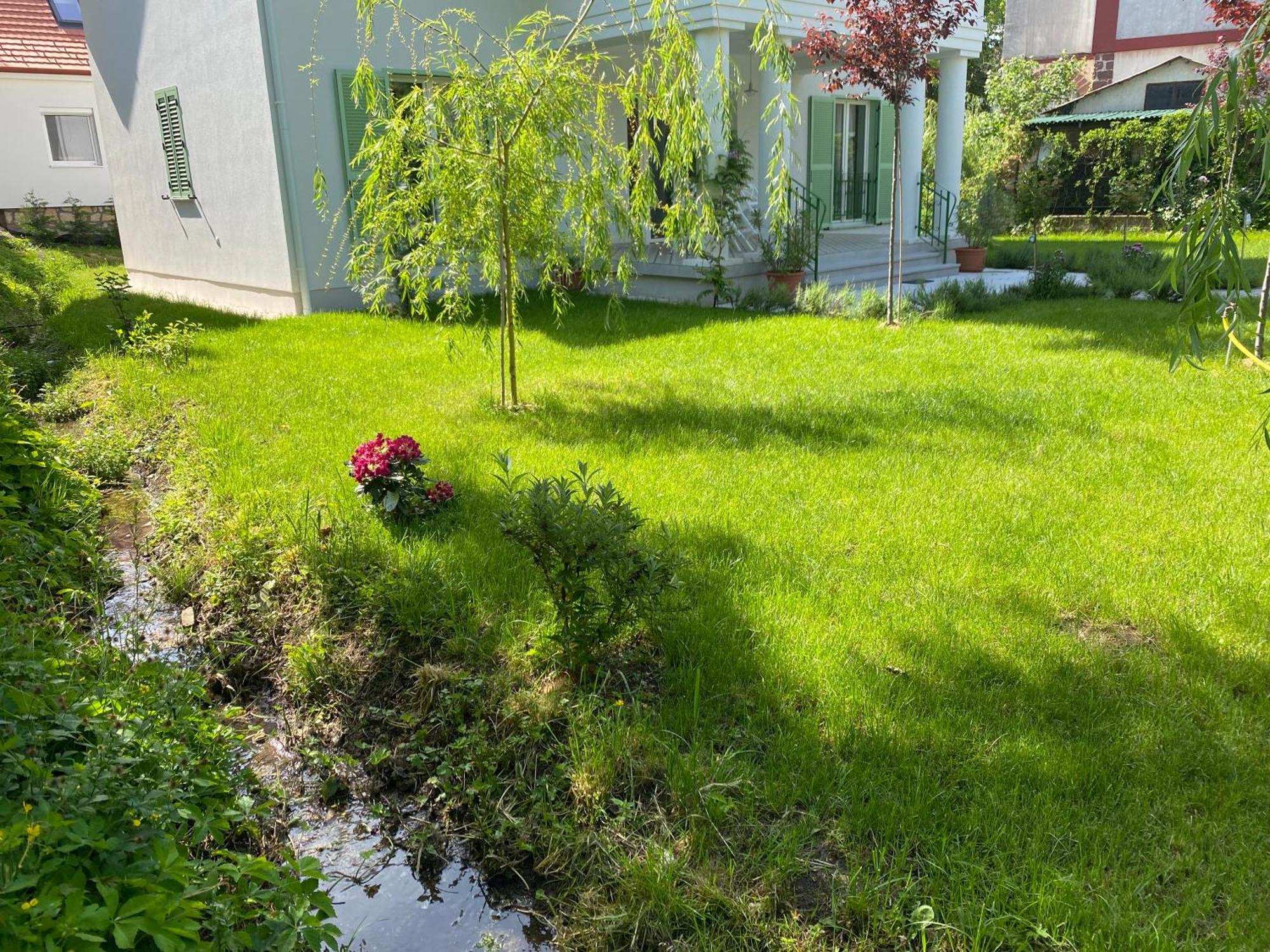 Rosa Centre * Balatonfüred
